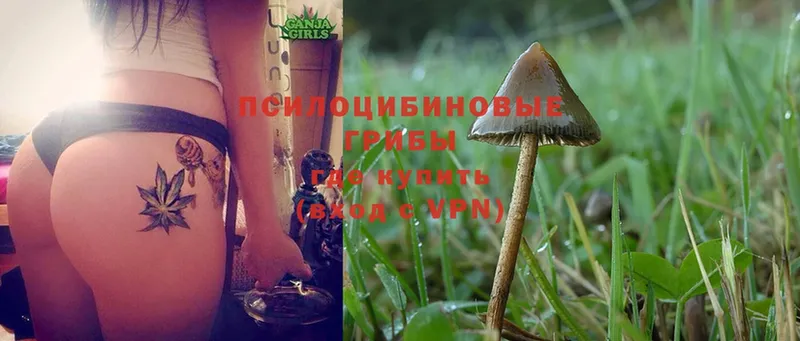 Галлюциногенные грибы Magic Shrooms  Тында 